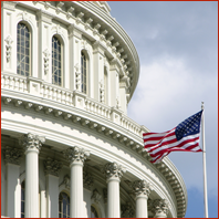 Government Building - Business Development